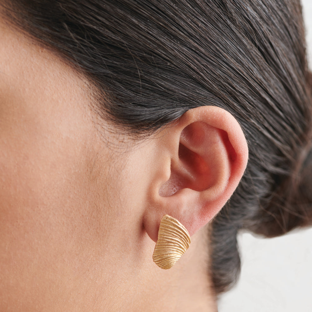 Wing Shell Earrings