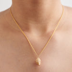 Conch Shell Necklace